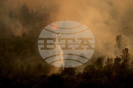 Climate Wildfire Weather