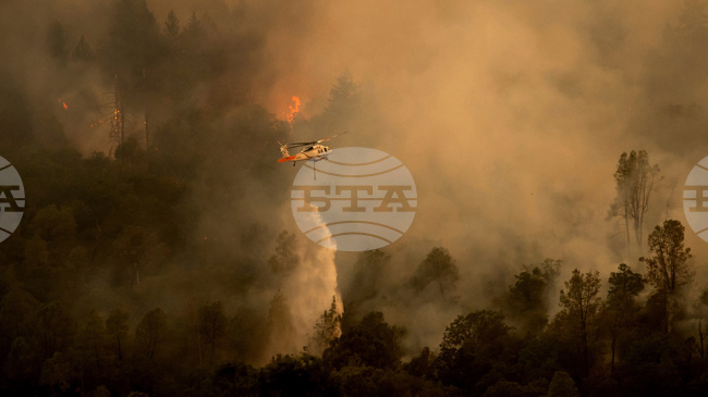 Горски пожари избухнаха в два окръга в Северозападна Румъния; два хеликоптера подпомагат усилията за потушаване на пламъците