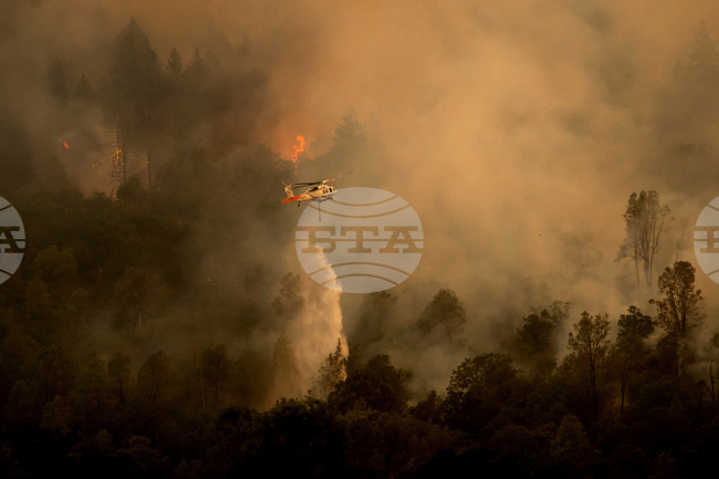 Горски пожари избухнаха в два окръга в Северозападна Румъния; два хеликоптера подпомагат усилията за потушаване на пламъците