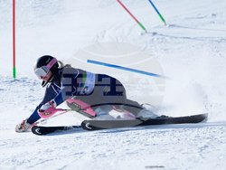 Milan Cortina Olympics Alpine Skiing
