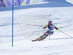 Milan Cortina Olympics Alpine Skiing