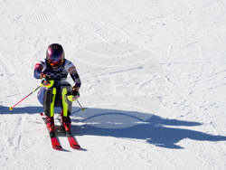 Milan Cortina Olympics Alpine Skiing