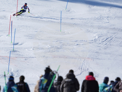 Milan Cortina Olympics Alpine Skiing