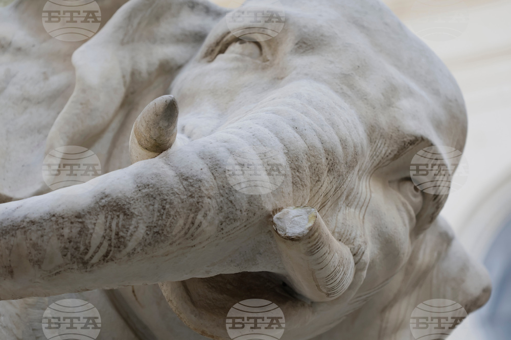 Italy Bernini's Elelphant