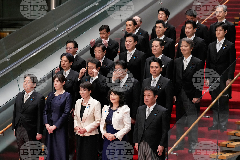 Japan Politics