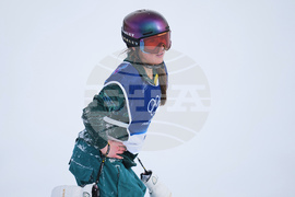 Milan Cortina Olympics Snowboard