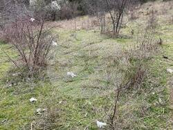 Снимка: МОСВ