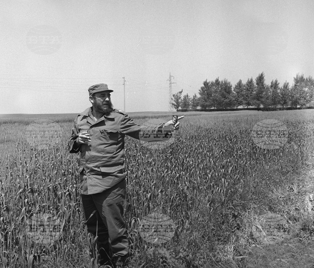 След 50 години начело на Куба, Фидел Кастро се оттегля от властта на 19 февруари 2008 г.