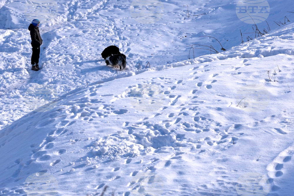Milan Cortina Olympics Bobsled