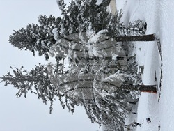 Курортен комплекс Мальовица - състезание - купа „Чамкория“