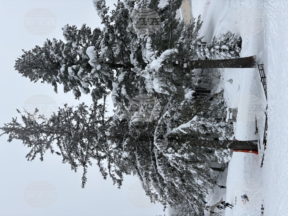 Курортен комплекс Мальовица - състезание - купа „Чамкория“