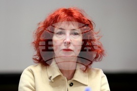 Дискусия - „Украинско-български преглед: културна дипломация, пропаганда или антипропаганда в Царство България?"