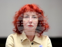 Дискусия - „Украинско-български преглед: културна дипломация, пропаганда или антипропаганда в Царство България?"