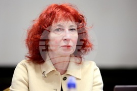 Дискусия - „Украинско-български преглед: културна дипломация, пропаганда или антипропаганда в Царство България?"