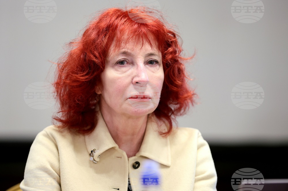 Дискусия - „Украинско-български преглед: културна дипломация, пропаганда или антипропаганда в Царство България?"