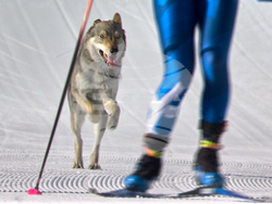 Milan Cortina Olympics Cross Country