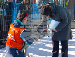 Milan Cortina Olympics Cross Country