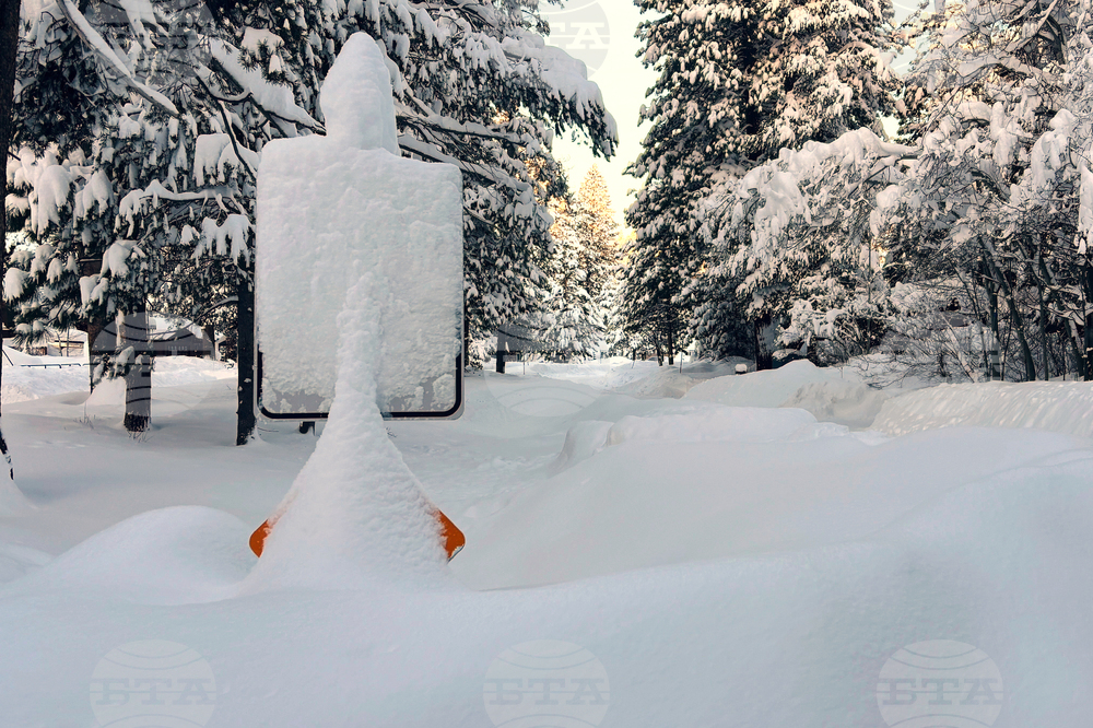 California Avalanche