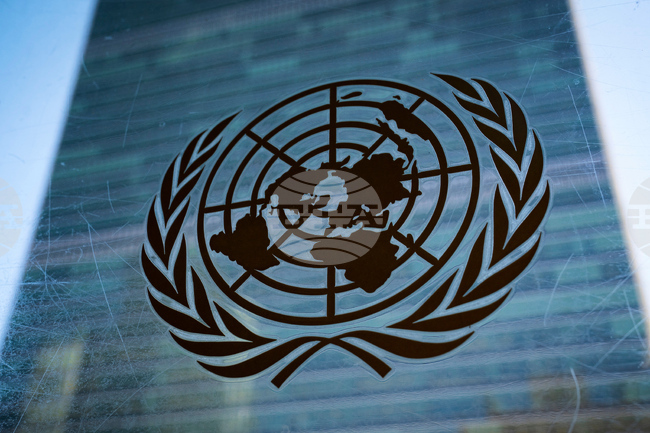 Общото събрание на ООН призова за прекратяване на огъня и мир в Украйна