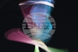 Top Vertical Photos Photo Gallery