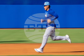 Blue Jays Spring Baseball