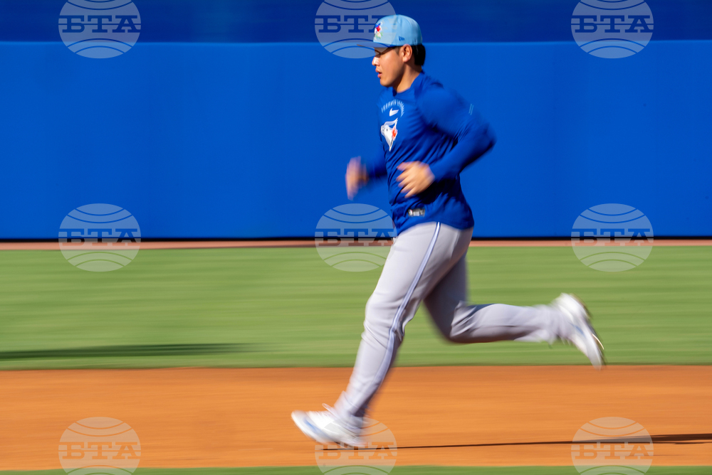 Blue Jays Spring Baseball