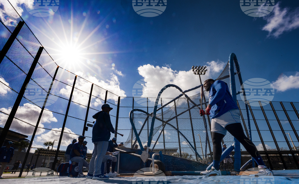 Blue Jays Spring Baseball