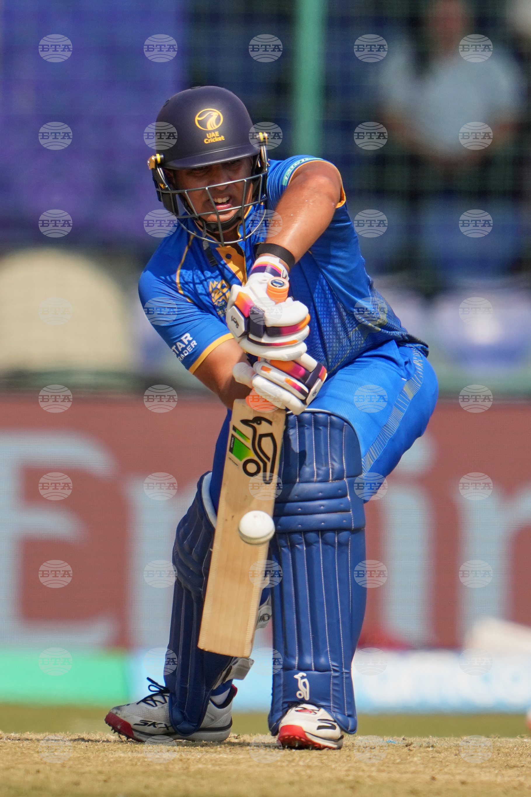 Afghanistan United Arab Emirates T20 WCup Cricket