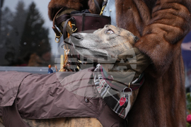 Milan Cortina Olympics Fur Catwalk