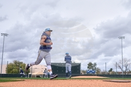 Brewers Spring Baseball