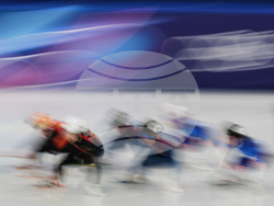 Milan Cortina Olympics Short Track Speedskating