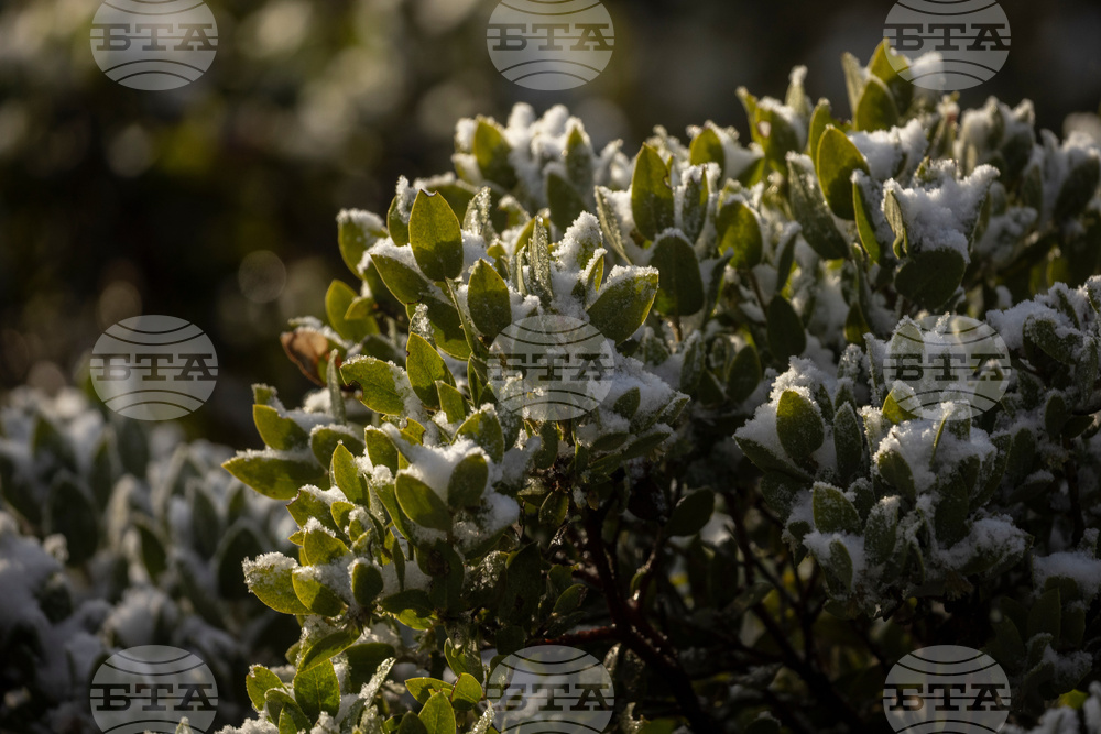 Winter Weather California