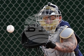 Brewers Spring Baseball