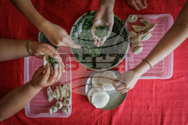 Lunar New Year Red Photo Gallery