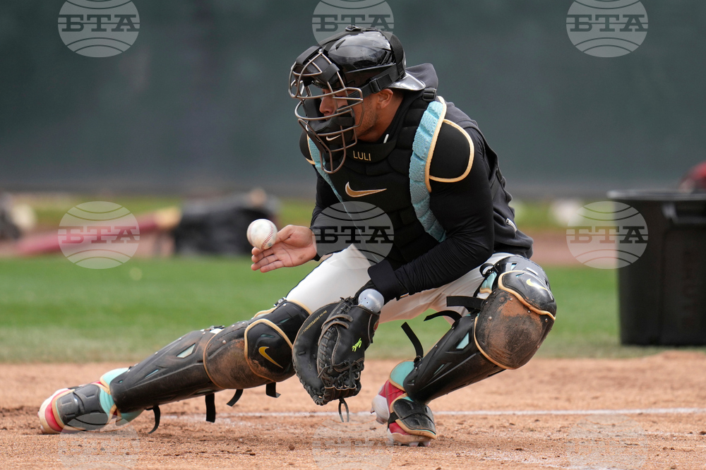 Diamondbacks Spring Baseball