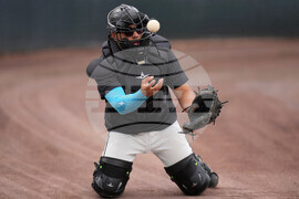 Diamondbacks Spring Baseball