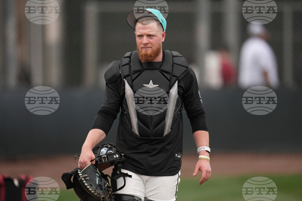 Diamondbacks Spring Baseball