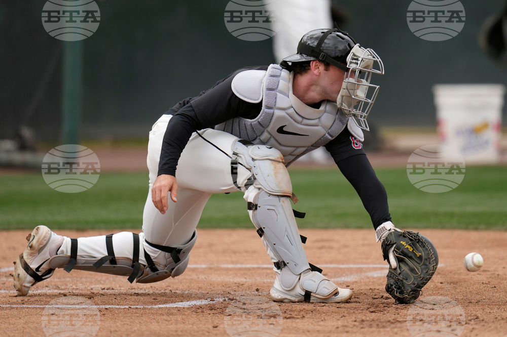 Diamondbacks Spring Baseball
