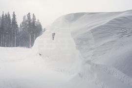 California Avalanche