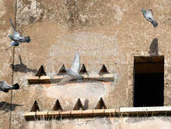 Italy Travertine Quarries