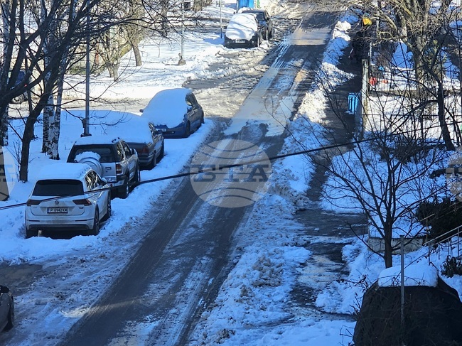 МВР съобщи за десетки пътнотранспортни произшествия през последното денонощие в Русенско 