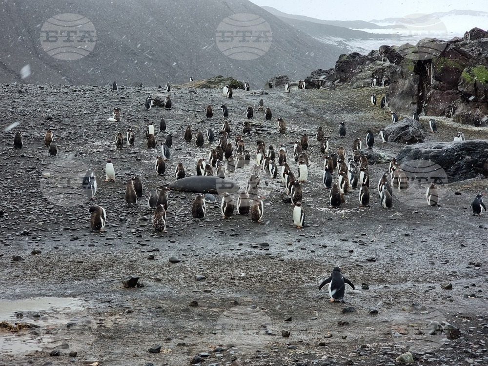 Sofia University to Hold Day of Antarctica