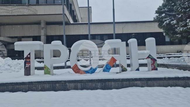 Общо 619 глоби за неправилно паркиране са наложени от полицията в Троян през изминалата година