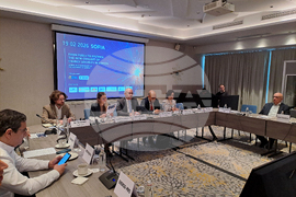 Енергиен експертен форум „От горива към системи: Новата концепция за енергийна сигурност в Европа“ - дискусия