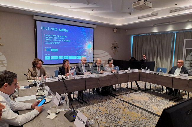 Енергиен експертен форум „От горива към системи: Новата концепция за енергийна сигурност в Европа“ - дискусия