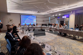 Енергиен експертен форум „От горива към системи: Новата концепция за енергийна сигурност в Европа“ - дискусия