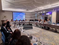 Енергиен експертен форум „От горива към системи: Новата концепция за енергийна сигурност в Европа“ - дискусия