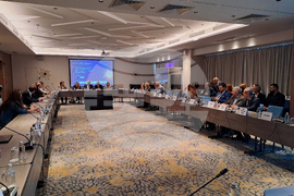 Енергиен експертен форум „От горива към системи: Новата концепция за енергийна сигурност в Европа“ - дискусия