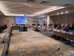 Енергиен експертен форум „От горива към системи: Новата концепция за енергийна сигурност в Европа“ - дискусия