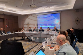 Енергиен експертен форум „От горива към системи: Новата концепция за енергийна сигурност в Европа“ - дискусия